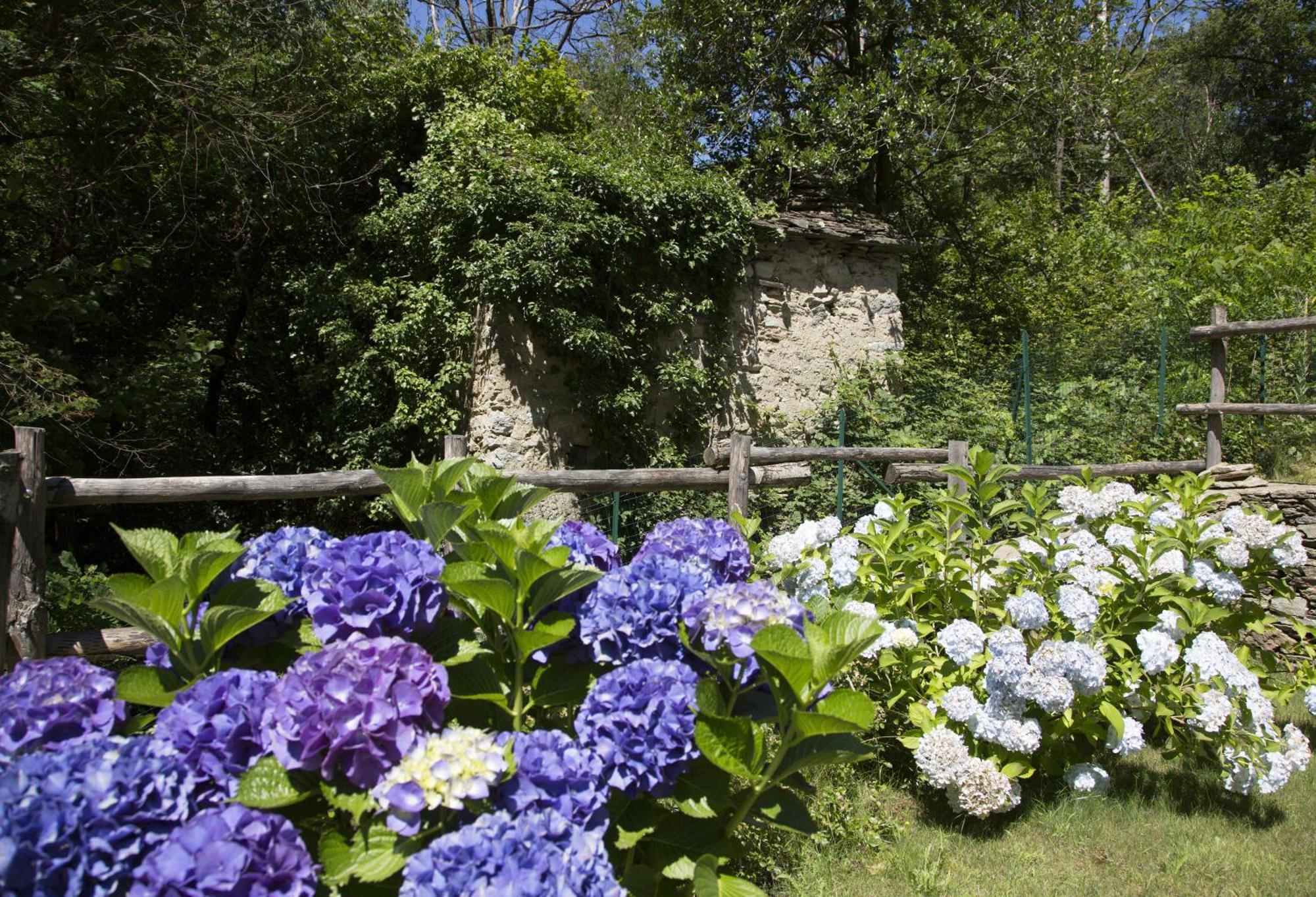 Agriturismo Rossolampone San Bernardino Verbano Chambre photo